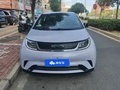 2023 BYD Dolphin 420km Fashion — фото 2
