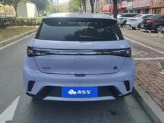 2023 BYD Dolphin 420km Fashion — фото 4