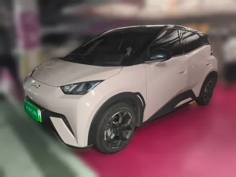 2025 BYD Seagull 305km Freedom