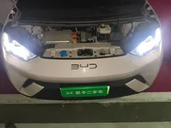 2025 BYD Seagull 305km Freedom — фото 16