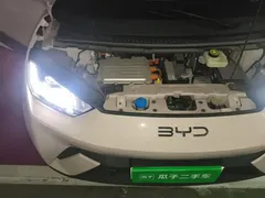 2025 BYD Seagull 305km Freedom — фото 20