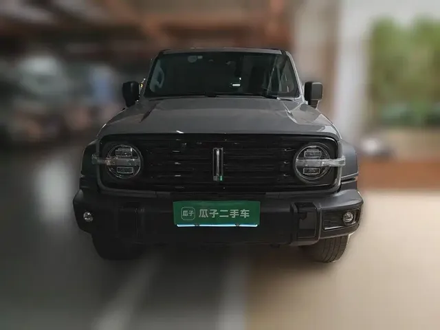 2021 Tank 300 Off-road 2.0T Conqueror