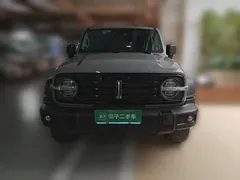2021 Tank 300 Off-road 2.0T Conqueror — фото 2