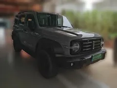 2021 Tank 300 Off-road 2.0T Conqueror — фото 3