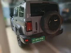2021 Tank 300 Off-road 2.0T Conqueror — фото 4
