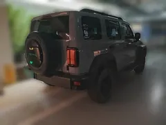 2021 Tank 300 Off-road 2.0T Conqueror — фото 6