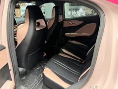 2024 BYD Seagull EV Glory 405km Flying — фото 4