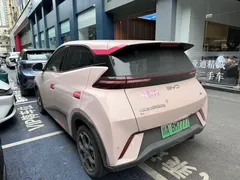 2024 BYD Seagull EV Glory 405km Flying — фото 8