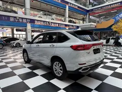 2021 Haval M6 Plus 1.5T DCT Luxury, белый — фото 7