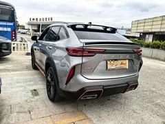 2022 Haval H6S 1.5T DHT — фото 10