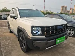 2022 Haval Cool Dog 1.5T DCT 2WD, белый — фото 4