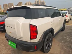 2022 Haval Cool Dog 1.5T DCT 2WD, белый — фото 7