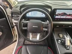2022 Haval Cool Dog 1.5T DCT 2WD, белый — фото 11