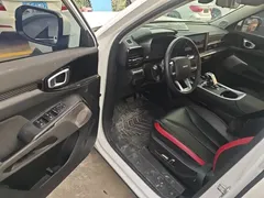2022 Haval Cool Dog 1.5T DCT 2WD, белый — фото 16