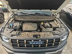 2022 Haval Cool Dog 1.5T DCT 2WD, белый — фото 20