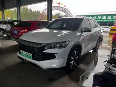 2023 BYD Song Pro DM-i PHEV 110KM Champion, белый — фото 1