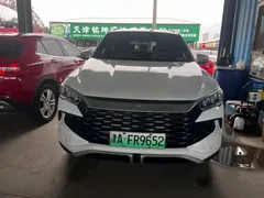 2023 BYD Song Pro DM-i PHEV 110KM Champion, белый — фото 2