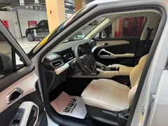 2024 BYD Yuan UP 401km Vitality — фото 7