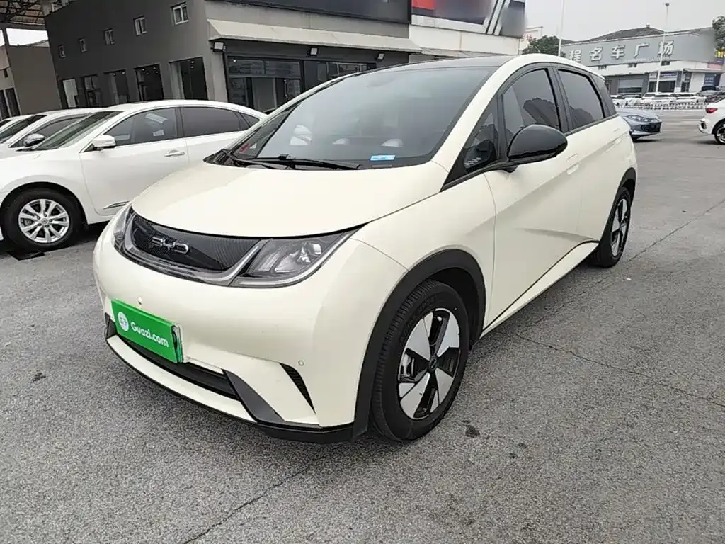 2023 BYD Dolphin 420km Fashion