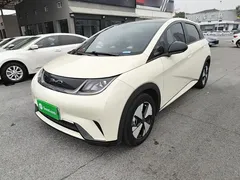 2023 BYD Dolphin 420km Fashion — фото 1