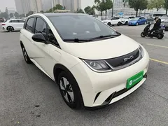 2023 BYD Dolphin 420km Fashion — фото 4