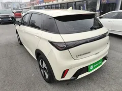 2023 BYD Dolphin 420km Fashion — фото 5