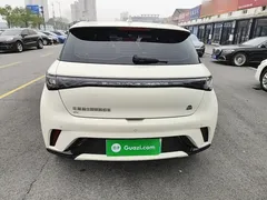 2023 BYD Dolphin 420km Fashion — фото 6