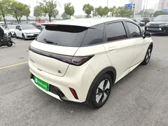 2023 BYD Dolphin 420km Fashion — фото 7