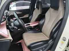 2023 BYD Dolphin 420km Fashion — фото 15