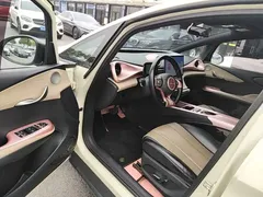 2023 BYD Dolphin 420km Fashion — фото 16