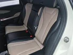 2023 BYD Dolphin 420km Fashion — фото 17
