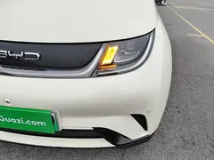 2023 BYD Dolphin 420km Fashion — фото 24