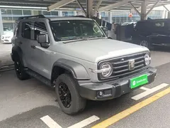 2021 Tank 300 Off-road 2.0T Conqueror — фото 4