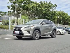 2020 Lexus NX 200 2WD — фото 1