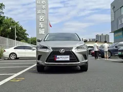 2020 Lexus NX 200 2WD — фото 2
