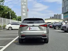 2020 Lexus NX 200 2WD — фото 16