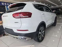 2021 Haval H6 1.5T AT Champion, белый — фото 9