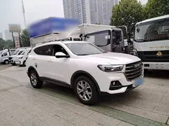 2021 Haval H6 1.5GDIT AT Guochao Champion, белый — фото 4