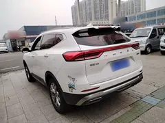 2021 Haval H6 1.5GDIT AT Guochao Champion, белый — фото 5