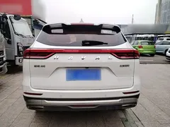 2021 Haval H6 1.5GDIT AT Guochao Champion, белый — фото 6