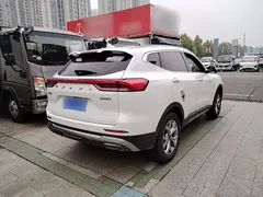 2021 Haval H6 1.5GDIT AT Guochao Champion, белый — фото 7