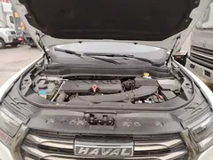 2021 Haval H6 1.5GDIT AT Guochao Champion, белый — фото 20