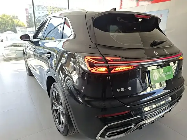 2023 Hongqi HS5 2.0T Pro
