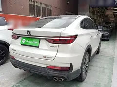 2021 Changan CS85 Coupe 2.0T AT Premium, белый — фото 7