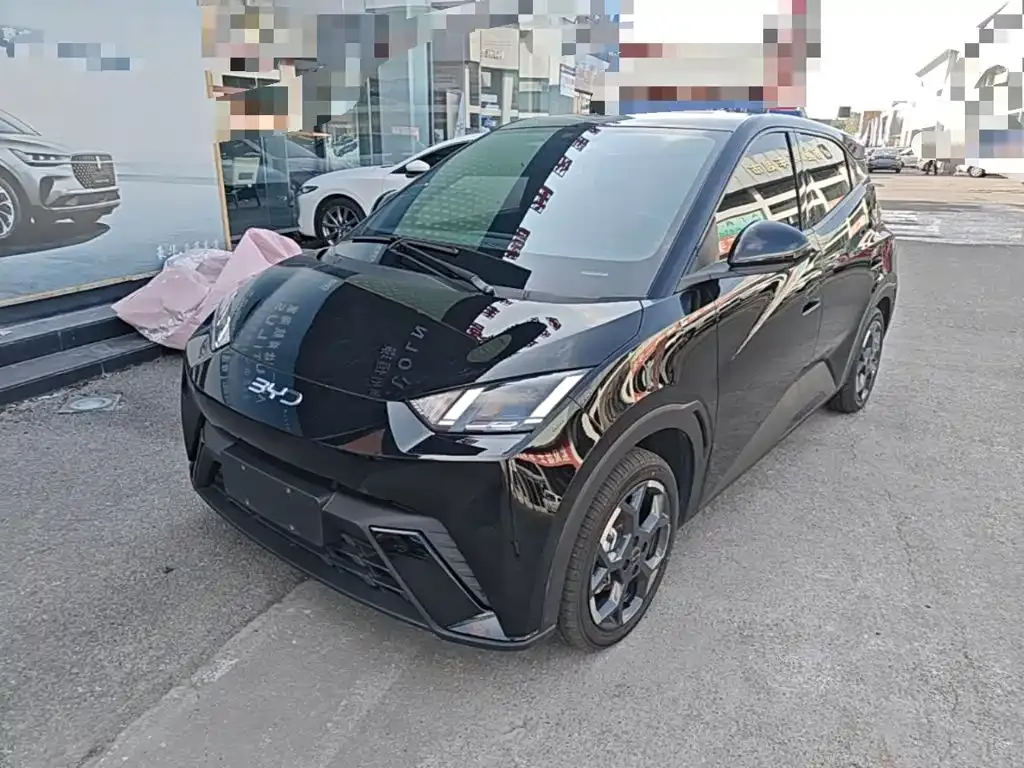 2024 BYD Seagull EV 305km Honor Freedom