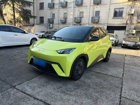 2023 BYD Seagull Vitality