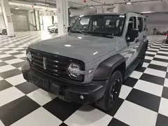 2021 Tank 300 Off-road 2.0T Conqueror — фото 1