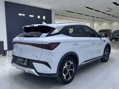 2025 BYD Yuan PLUS Smart Driving 510km Leading, белый — фото 10