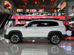 2021 Haval Dargo 2.0T DCT 4WD, белый — фото 6