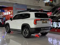 2021 Haval Dargo 2.0T DCT 4WD, белый — фото 24